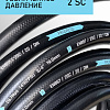����� 2 SC 04CH2 �� �������� ���������